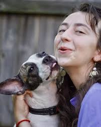 Hey hey! My name is Obi, and I'm 1 year old and 26 pounds of snuggle. I'm  thought to be a Jack Russell terrier/Boston terrier mix, as I look  distinctly like both