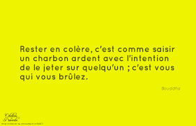 Faire La Paix Avec Sa Colere - Ensemble Naturellement