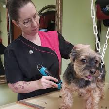 Birgit's Hundesalon