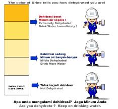 Air kencing berwarna merah dan hijau mungkin menjadi tanda masalah kesihatan yang lebih serius, tambahnya. Ketahui Hubungkait Warna Air Kencing Dengan Tahap Kesihatan Badan Yang Perlu Anda Tahu Pengemis Ilmu