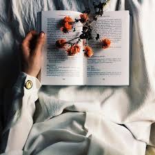 Attic Treasures Book Aesthetic Book Photography Book Lovers