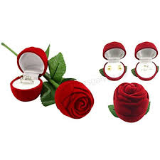 Rosa con tallo para anillos, especial para los enamorados.