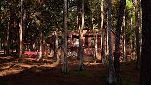 Fort wilderness resort & campground is an actual campground with both campsites and cabins at walt disney world. The Cabins At Disney S Fort Wilderness Resort From 1 825 Per Person Walt Disney World Official Site