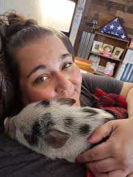 Introducing new pet pig to the family