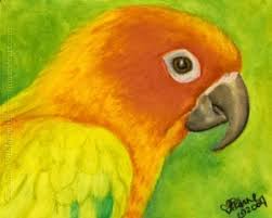 Chalk pastel drawings should be done on an abrasive base which collects and holds the color. Pastel Animal Drawings Elvis Ii Sun Conure Bird Painting Oil Pastel Original Art Portrait Oil Pastel Oil Pastel Art Oil Pastel Drawings