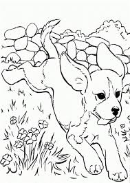 Click any coloring page to see a larger version and download it. Pin On Dibujos