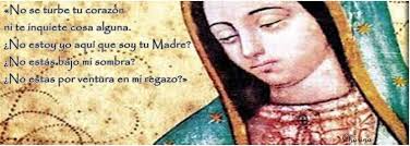 La virgen de guadalupe es la patrona de méxico y emperatriz de las américas. Oracion De Agradecimiento A La Virgen De Guadalupe