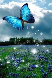 Download 3d Butterfly Live Wallpaper Hd For Android 3d Butterfly Live Wallpaper Hd 1 0 Downloa Butterfly Live Aquarium Live Wallpaper Blue Butterfly Wallpaper