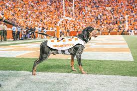 Maybe you would like to learn more about one of these? Mascots University Of Tennessee Athletics