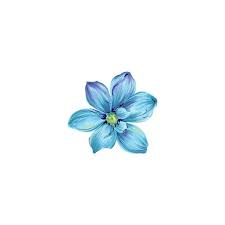 I Don T Know Transparent Png Gif Masterpost More Liked On Polyvore Featuring Transparents Ar Blue Flower Painting Blue Flowers Watercolor Flowers