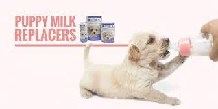 Top 5 Best Puppy Milk Replacers Powder Liquid Goat S Milk