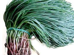 Maybe you would like to learn more about one of these? Agretti O Barba Dei Frati Descrizione E Uso Alimentipedia It