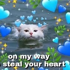 Pin By Kyleigh Underwood On Wallpapers In 2020 Cute Cat Memes Cute Memes Wholesome Memes