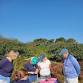 Bird Banding — Linda Loring Nature Foundation event image
