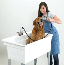 laundry sink, dog washing station