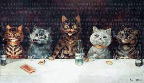 pin on cats