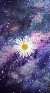 We did not find results for: Flower Wallpaper Tumblr Wallpapers And Pictures For Pc Mac Laptop Tablet Mobile Phone 4 Wallpaper