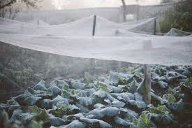 Be aware from other fake/spam websites (.net,.us, etc) which using our design/name !! Gardeners To Rethink Garden Netting To Prevent Wildlife Deaths