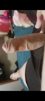 19 m looking for trans or femboy mostly to give me a blowjob while I watch  porn in Tulsa by thirty first n Garnett cant host I have tree🔥💨 :  rgayoklahoma