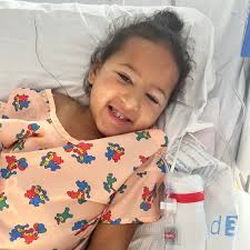 Fundraiser for Brian Seipler by The Family : Help 4 year old Lulu After a  Devastating Lawn Mower Accident