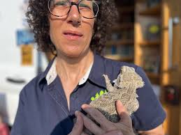 St. Rita's Amazing Traveling Bookstore and Textual Apothecary