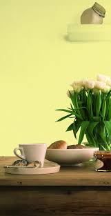 Lemon Daze Johnstones Paints Decorative Bowls Johnstone
