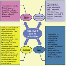 1 how long does kojic acid soap. Pdf Kojic Acid Applications In Cosmetic And Pharmaceutical Preparations