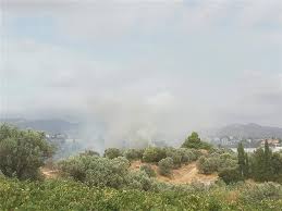 Φωτιά ξεκίνησε πριν από λίγη ώρα σε περιοχή με ξερά χόρτα στην παλλήνη αττικής. Ypo Meriko Elegxo H Fwtia Sthn Pallhnh Deite Fwtografies