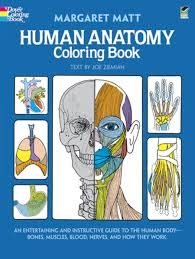 Cuaderno para colorear el cuerpo humano (11). Human Anatomy Coloring Book An Entertaining And Instructive Guide To The Human Body Bones Muscles Blood Nerves And How They Work Coloring Books Dover Children S Science Books Matt Margaret Ziemian Joe