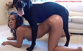 Awoman having sex with adog Sexy Quality archive Free.