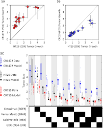 Clinical responses to ERK inhibition in BRAFV600E-mutant colorectal cancer  predicted using a computational model