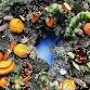 Home Nansledan Christmas Wreath Making Workshops event in Newquay