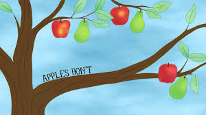 The game 94% presents the questions differently for each player, so to find the answer you don't have to search by number level, here we put them to you in alphabetical order to find them quickly and easily. Good Fruit Apples Don T Grow On Pear Trees Rain For Roots Youtube