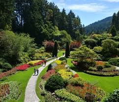 Check rates and availability in victoria. Whale Watching Butchart Gardens Tours Orca Spirit