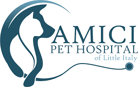 Compare your options and call now. Home Veterinarian In San Diego Ca Amici Pet Hospital