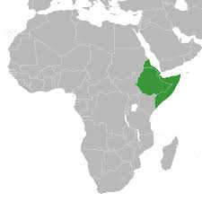 Stadtpläne, straßenkarte und touristenkarte somalia, mit hotels, sehenswürdigkeiten sie suchen eine karte oder den stadtplan von soomaaliya und umgebung? Kinderweltreise Ç€ Somalia Land