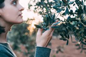 Smiling Female Farmer in Olive Grove Relaxed and Confident