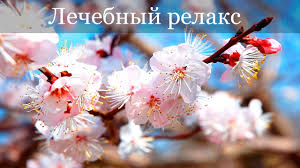 музыка для детей музыка для массажа музыка для спа Lechebnaya Uspokaivayushaya Kitajskaya Muzyka Ot Depressii Nervozov Dlya Umir Muzyka Instrumentalnaya Muzyka Muzyka Dlya Jogi