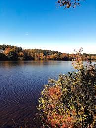 We did not find results for: Shenandoah Crossing Resort Gordonsville Va Virginia Bluegreen Resorts Timeshare Vacation Lg Lake 10 Photograph By Cody Cookston