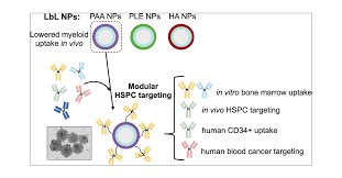 Modular Layer-by-Layer Nanoparticle Platform for Hematopoietic Progenitor  and Stem Cell Targeting