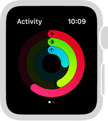 Apple Watch User Guide Apple Watch Apple Apple Products