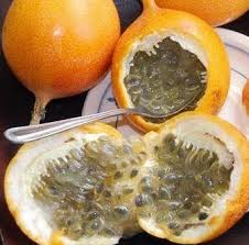 Maybe you would like to learn more about one of these? Manfaat Takokak Untuk Ibu Hamil Greatnesia