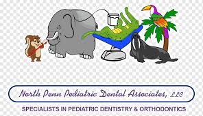 Lansdale Pediatrik Dis Hekimligi Dis Curugu Cocuk Memeli Cocuk Kedi Memeli Gibi Png Pngwing