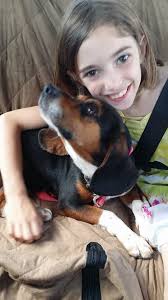 This beagle is hanging around Olive Branch Rd, Shelbyville KY