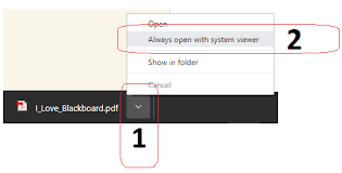 How to open a pdf in chrome. What To Do If Only The First Page Of A Pdf Is Shown In Chrome Or You Are Asked For A Username And Password Elearning Support And Resources