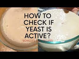 How To Check If Yeast Is Active? | Good Yeast And Bad Yeast | Schilla's  Easy Recipes - Youtube