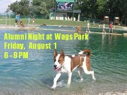Maybe you would like to learn more about one of these? Come Have Some Fun With Us At Wags Park Adoptable Dogs Will Be On Hand Dog Adoption Cincinnati Dogs