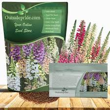 Image result for Digitalis purpurea alba/ red spots