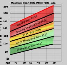 Heart Rate Guide Heart Rate Zones Normal Heart Rate
