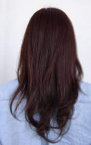 Perfect Reddish Brown By Sarah Conner Hair Tint Hair Styles Redish Brown Hair